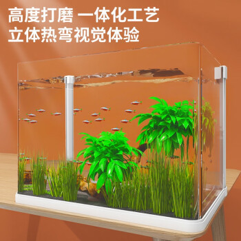 龍魚燈光位置示意圖高清圖片：龍魚燈光位置示意圖高清，科學布光提升觀賞價值