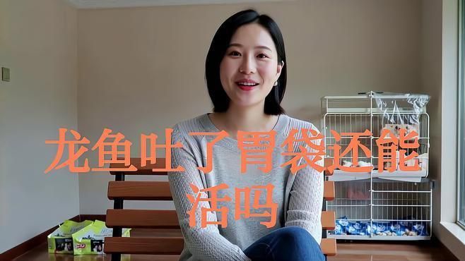 龍魚吐食后應該如何處理