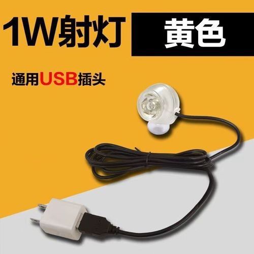 龍魚小夜燈什么顏色的光好