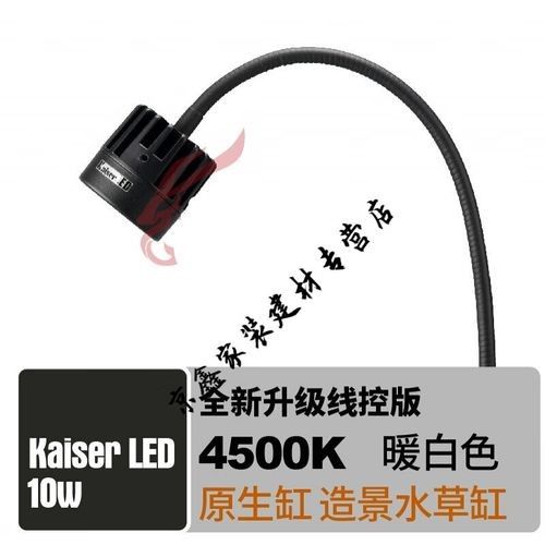 龍魚小夜燈什么顏色的光好
