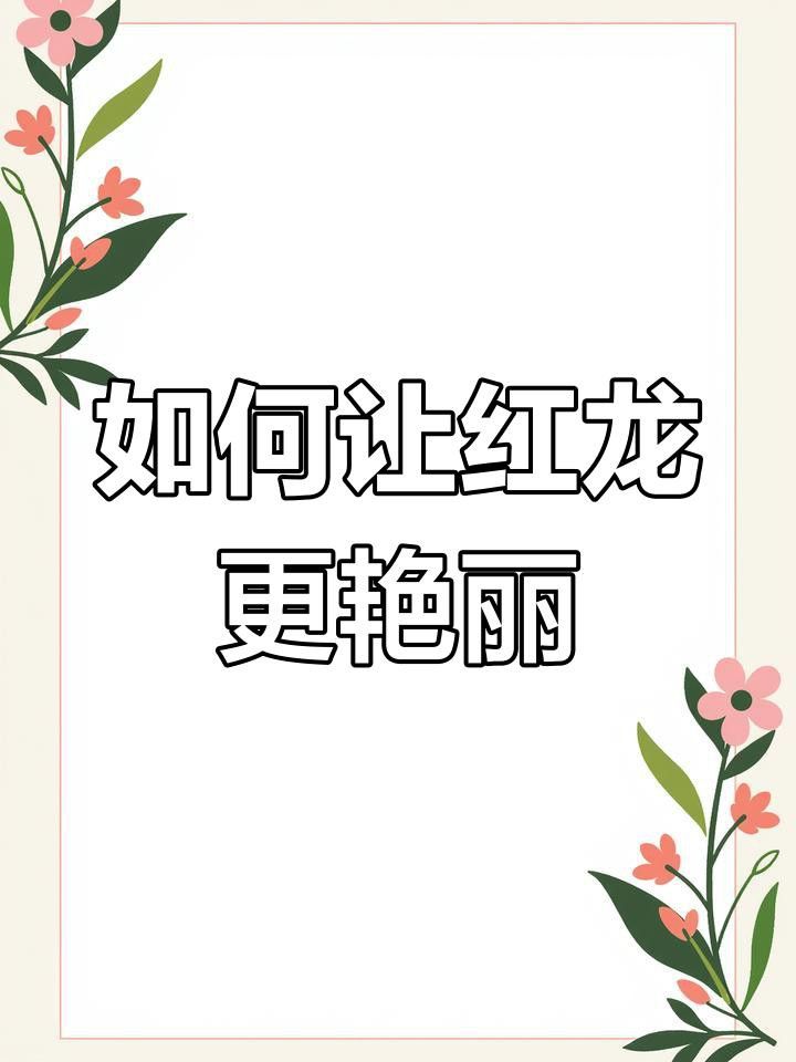 如何平衡紅龍的艷麗感？
