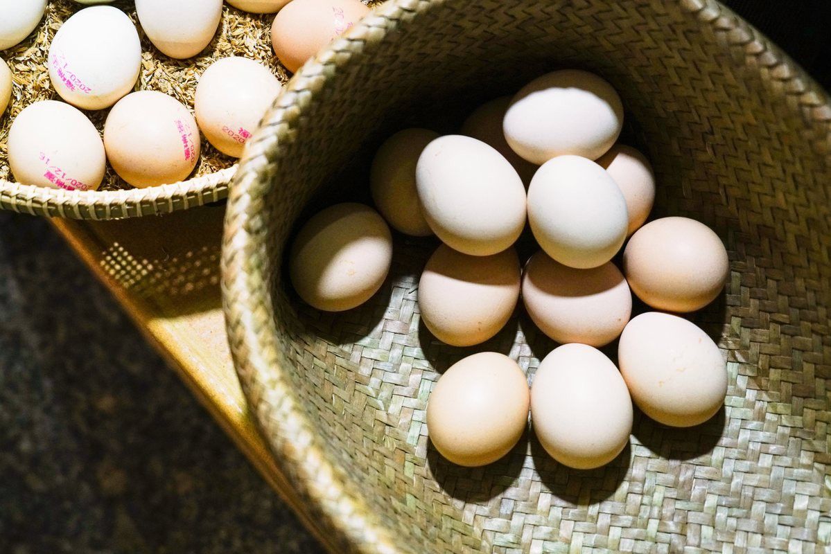 金龍魚廣西工廠的產能如何？