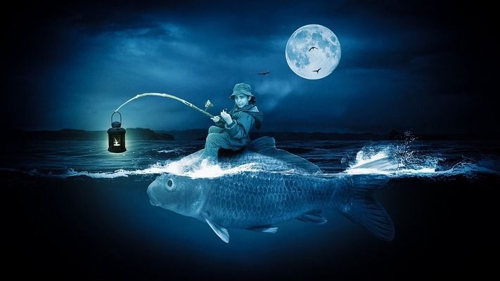 龍魚與火箭魚混養注意事項：龍魚與火箭魚混養時需要注意以下幾點以確保兩者都能健康生長