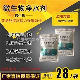 金龍魚經常在缸底游（金龍魚為什么經常在缸底游動）