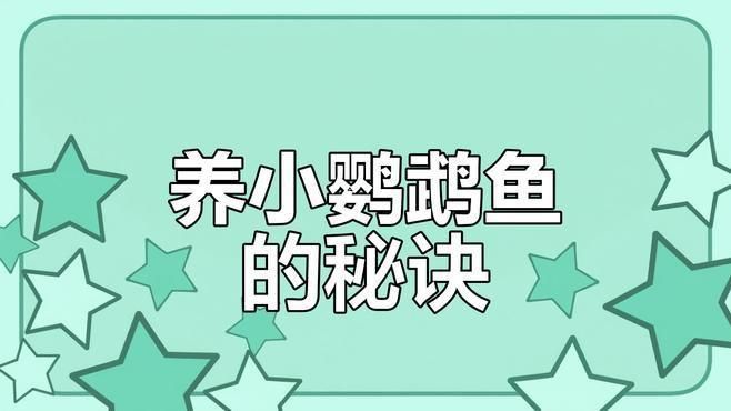 迷你鸚鵡魚幼苗太難養(yǎng)了