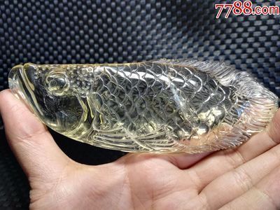 黑金龍魚價格查詢網(wǎng)：對不起，我無法為您提供黑金龍魚實(shí)時價格查詢服務(wù)
