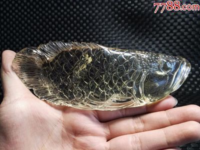 黑金龍魚價格查詢網(wǎng)：對不起，我無法為您提供黑金龍魚實(shí)時價格查詢服務(wù)