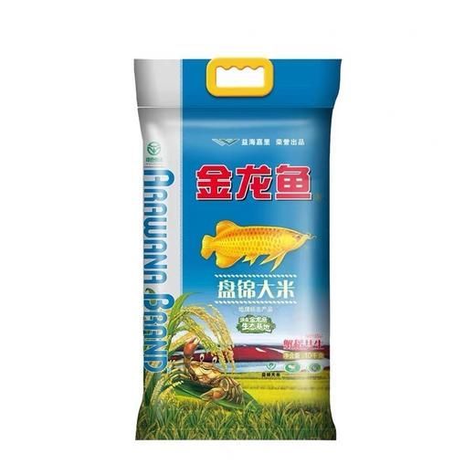 金龍魚鹽度：養(yǎng)金龍魚放多少鹽最合適