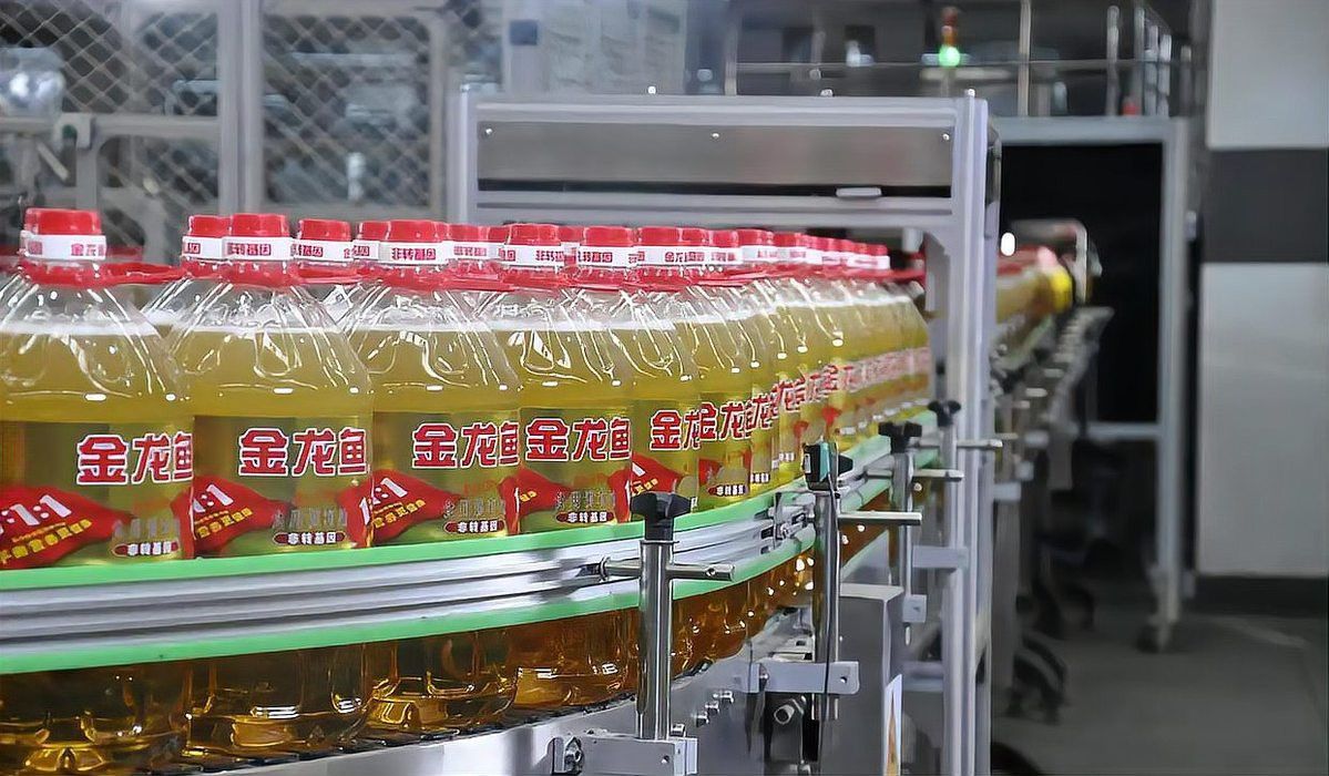 金龍魚是新加坡的嗎是真的嗎