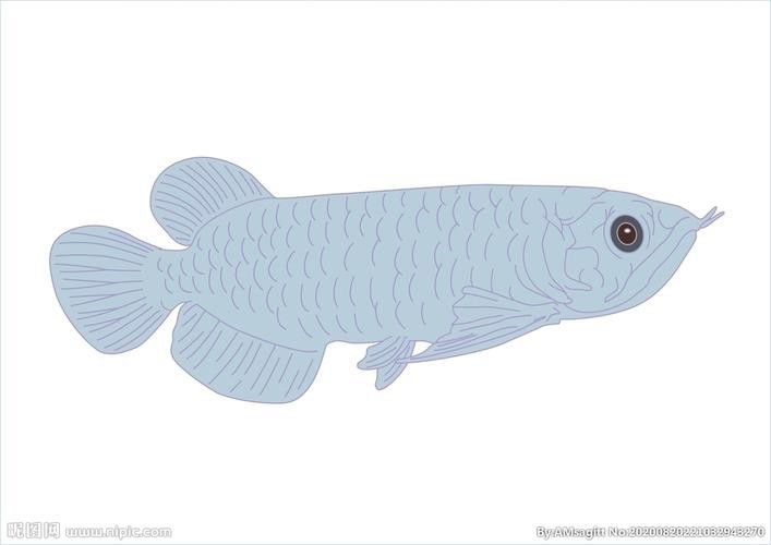 銀龍魚國畫