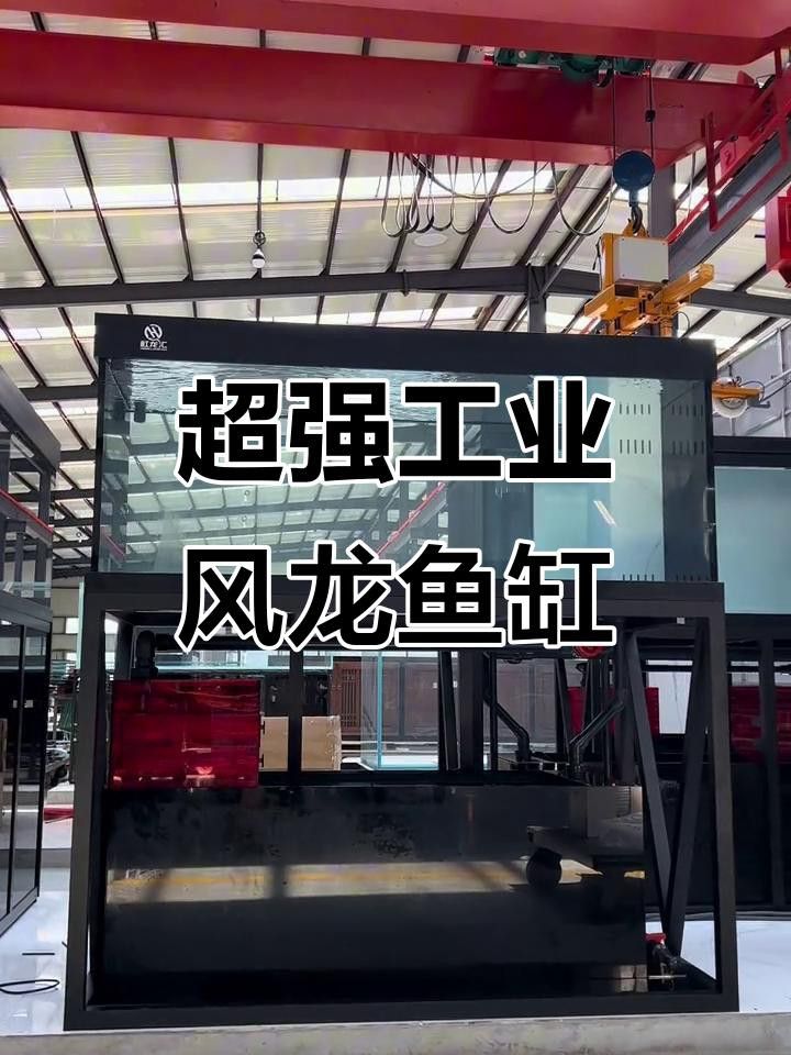 龍魚缸布置需要哪些設備？ 龍魚缸布置需要哪些設備？ 龍魚百科 第6張