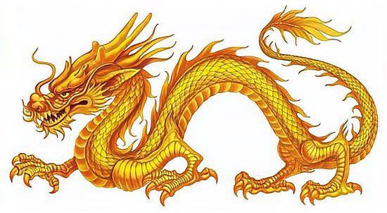銀龍魚為何成為網絡梗？