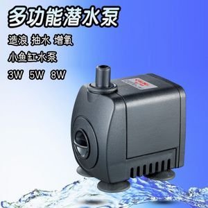 龍魚缸養(yǎng)什么魚清除糞便：清道夫魚、小精靈魚和黃金達(dá)摩都可以養(yǎng)什么魚清除糞便