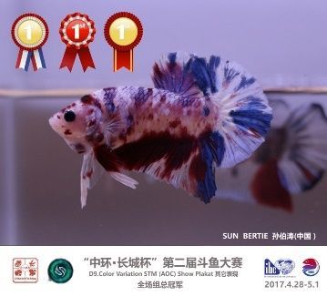 2024長(zhǎng)城杯世界斗魚(yú)錦標(biāo)賽（2024長(zhǎng)城杯世界斗魚(yú)錦標(biāo)賽可獲取信息僅供參考）