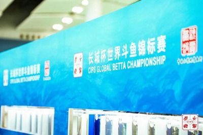 2024長(zhǎng)城杯世界斗魚(yú)錦標(biāo)賽（2024長(zhǎng)城杯世界斗魚(yú)錦標(biāo)賽可獲取信息僅供參考）