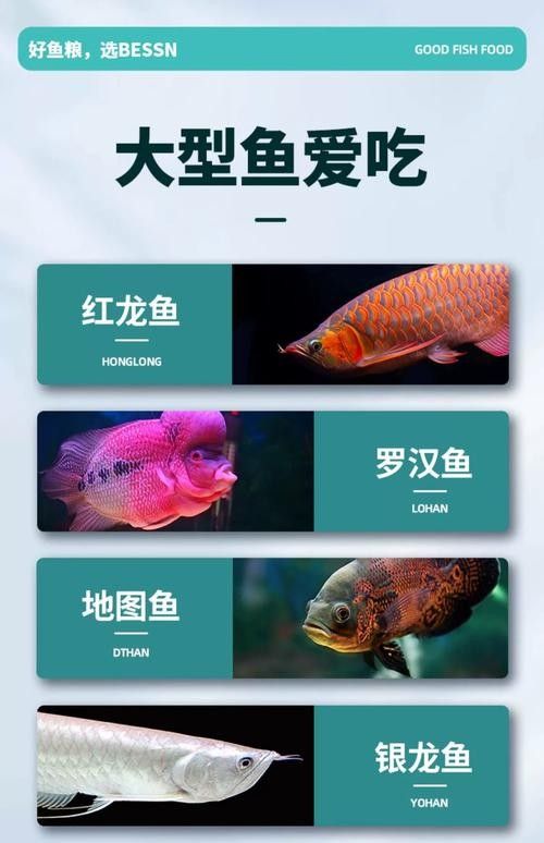 龍魚飼料哪個牌子的好用