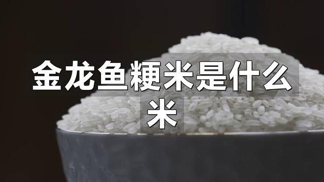 金龍魚黑龍江粳米好吃嗎