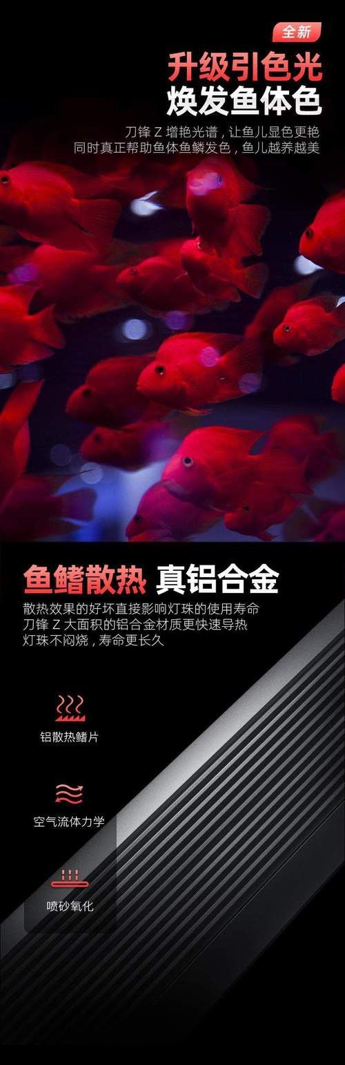 紅龍魚專用燈哪個牌子的好點