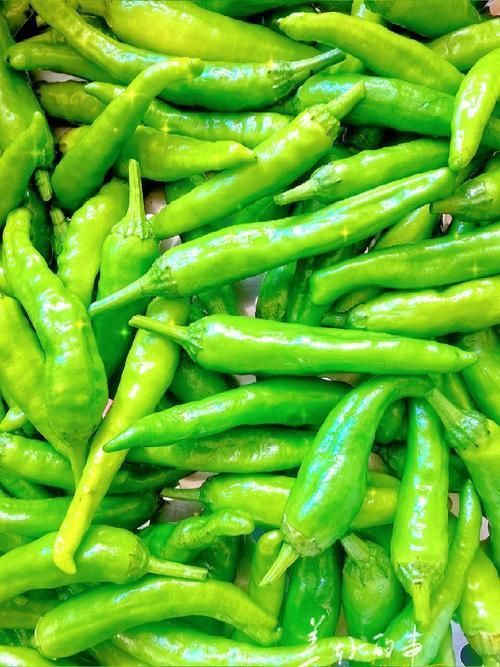 辣椒圖片大全大圖