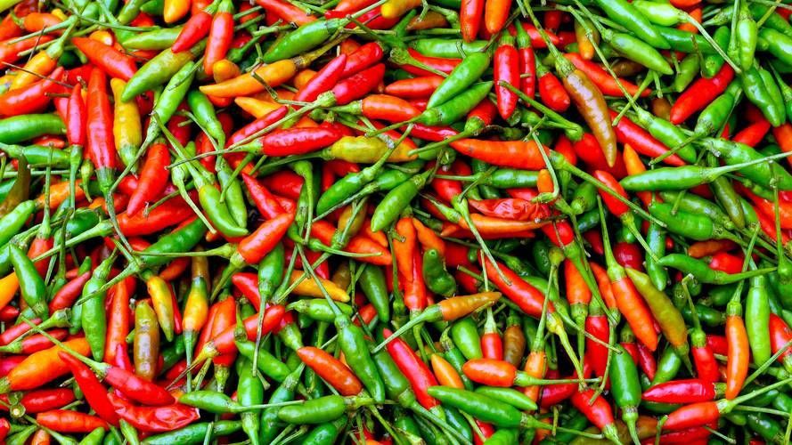 辣椒圖片大全大圖