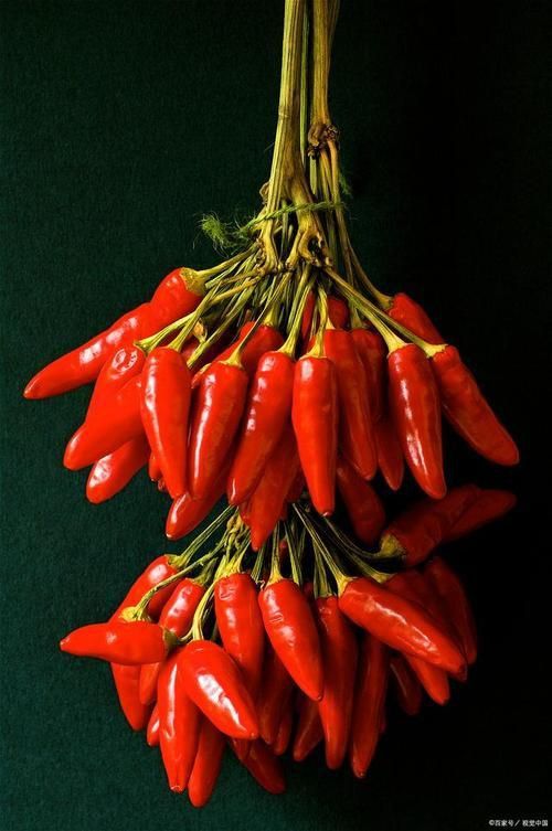 辣椒圖片大全大圖