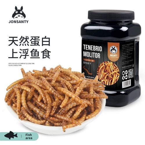 銀龍魚vs羅漢魚