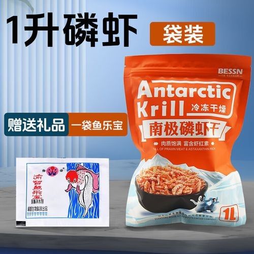 銀龍魚vs羅漢魚