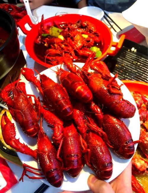 有沒(méi)有高清的中國(guó)龍蝦圖片？ 有沒(méi)有高清的中國(guó)龍蝦圖片？ 龍魚(yú)百科 第23張