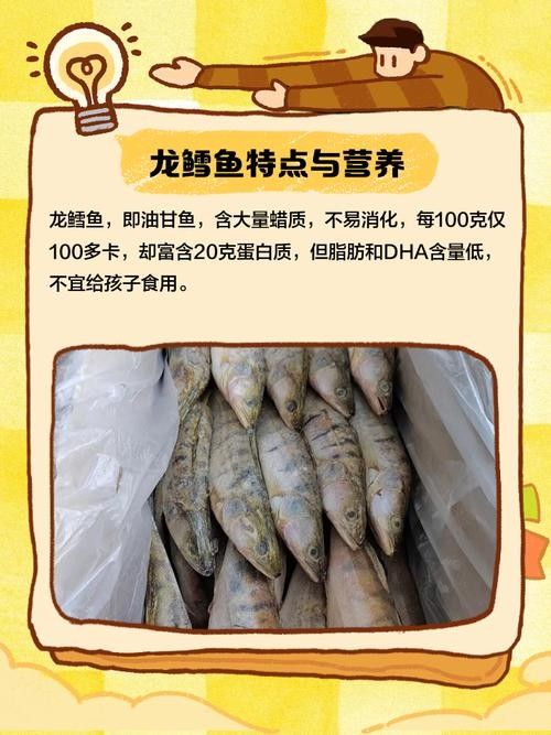 鱈龍魚百科