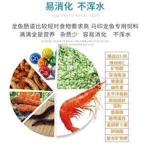 龍魚增色食物的營養分析：如何自制龍魚增色飼料，龍魚專用飼料的選購技巧