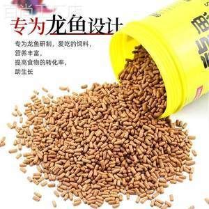 龍魚增色食物的營養分析：如何自制龍魚增色飼料，龍魚專用飼料的選購技巧