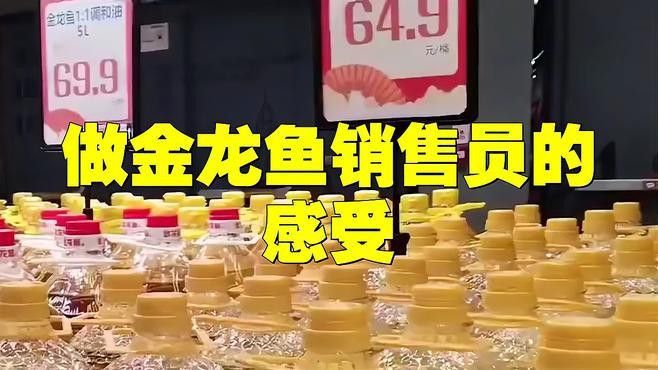 金龍魚上班怎么樣