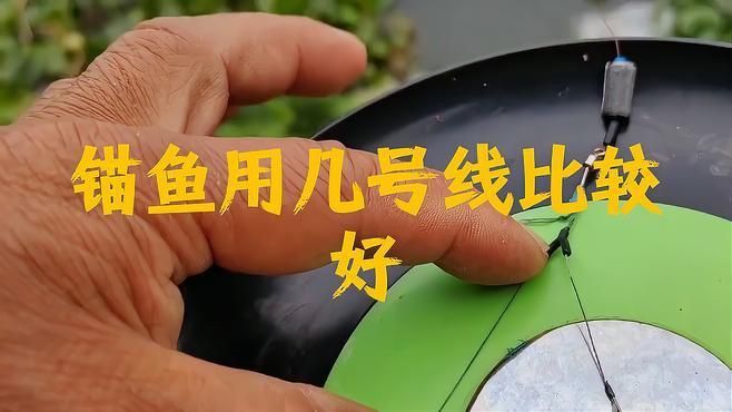 錨魚一般用多粗的PE線