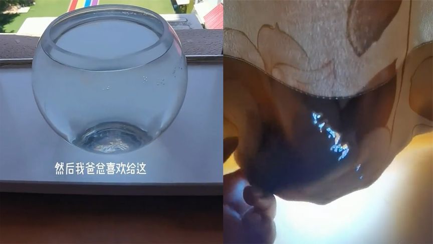 西安魚缸定制祥龍魚場（祥龍魚場在西安提供的具體魚缸定制服務詳情）