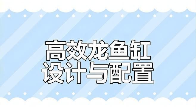 紅龍魚飼養(yǎng)方法及注意事項(xiàng)大全