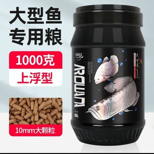紅龍魚喂飼料好不好呀圖片