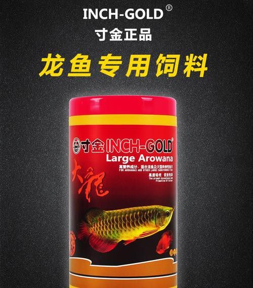紅龍魚喂飼料好不好呀圖片