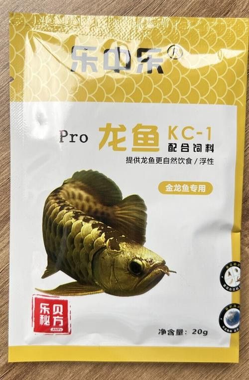 紅龍魚喂飼料好不好呀圖片