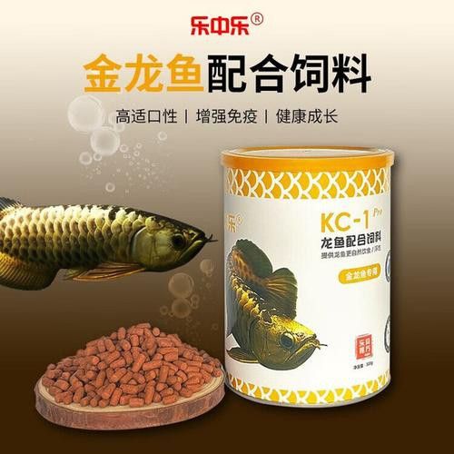 紅龍魚喂飼料好不好呀圖片
