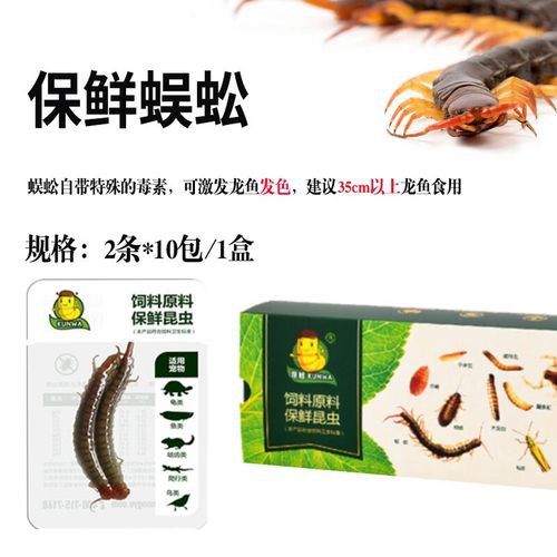 紅龍魚喂飼料好不好呀圖片