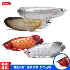 金龍魚福龍魚苗多少錢一條