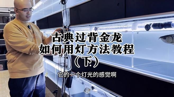 藍底過背金龍燈光使用步驟視頻教程