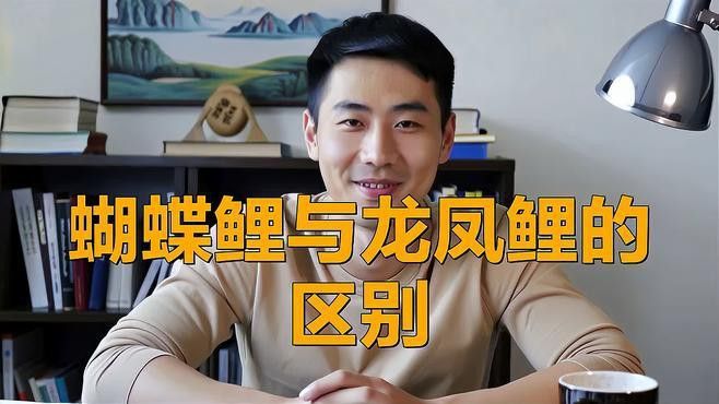 如何區分不同品種的龍鳳魚？