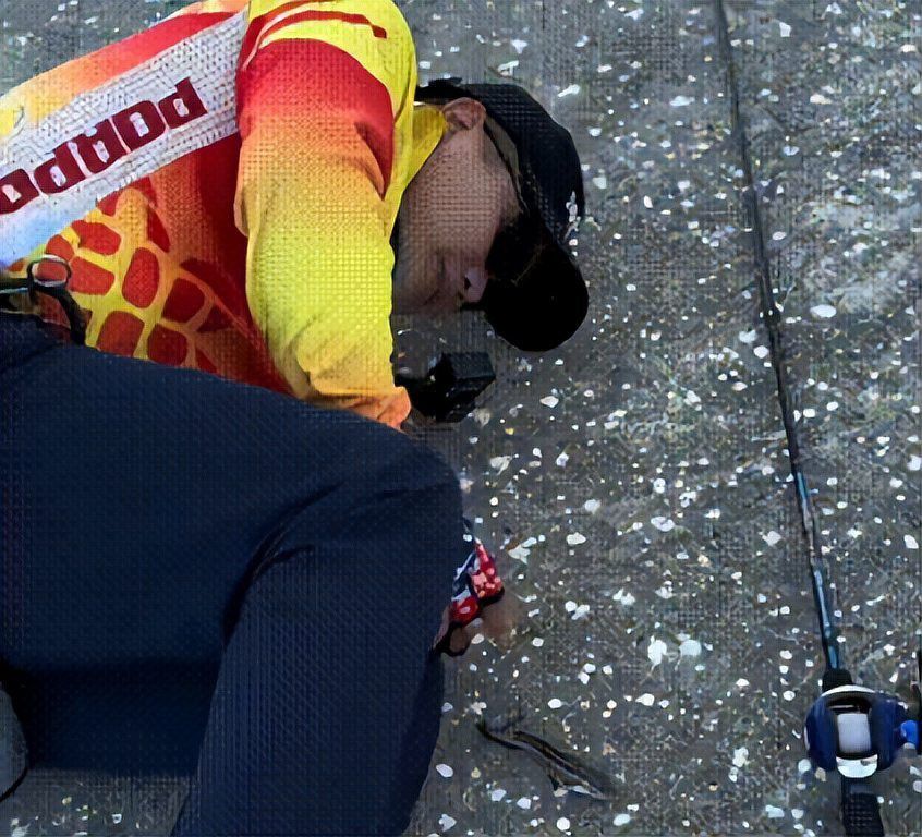 海南過江龍魚能吃嗎有毒嗎