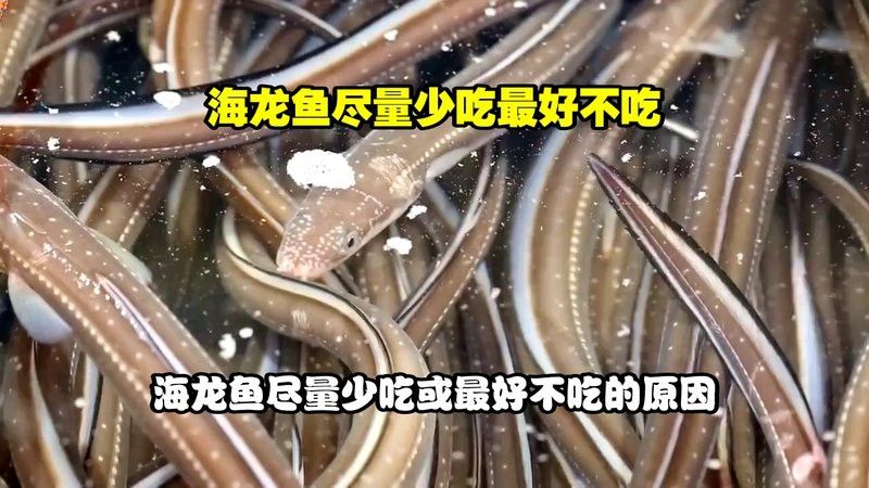 海南過江龍魚能吃嗎有毒嗎