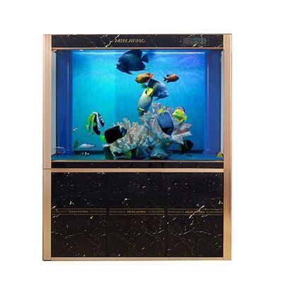 黑缸養金龍魚可以嗎，金龍魚在黑缸養殖需要注意的事項