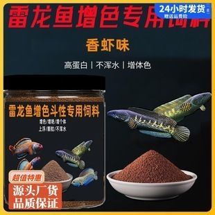 雷龍魚糧：雷龍魚專用高蛋白魚糧品牌