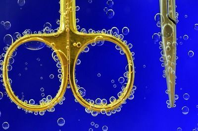 龍魚發色激素高：如何通過環境調控促進龍魚發色