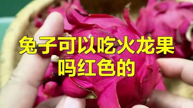 紅心火龍果對動物有哪些影響？