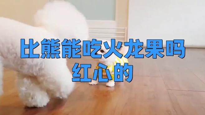 紅心火龍果對動物有哪些影響？